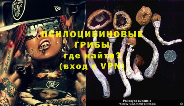 герыч Алексин
