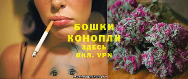 бошки Алзамай