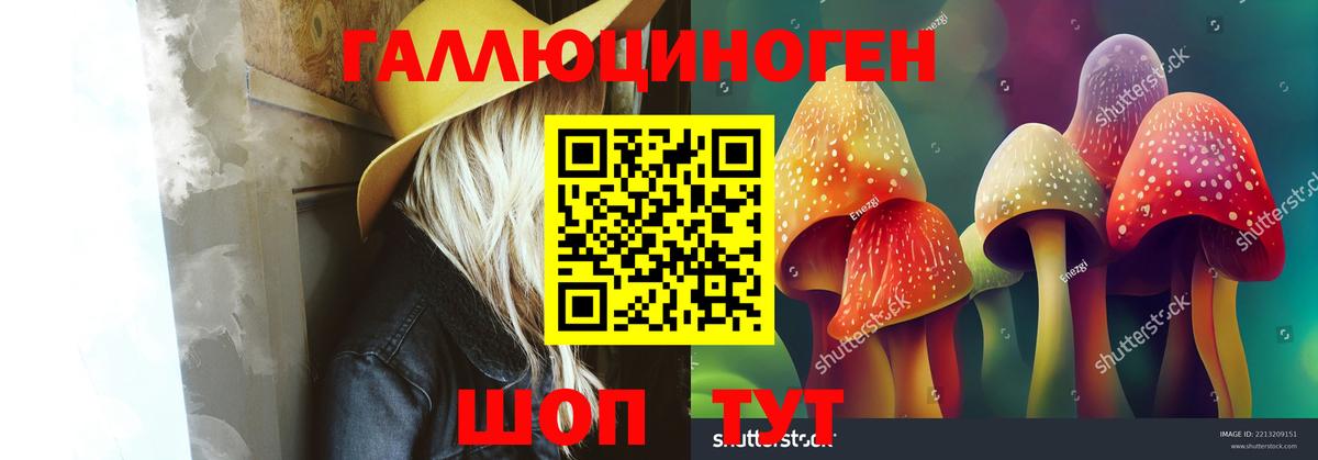Галлюциногенные грибы мицелий Тара